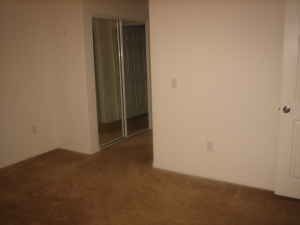 jasalece profile photo