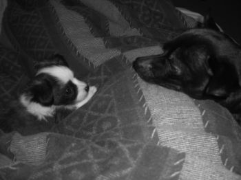 matterbaby04 profile photo