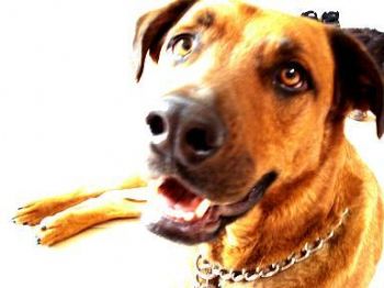 MelissaGomez profile photo