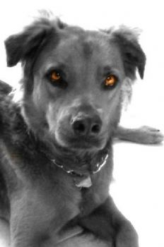 MelissaGomez profile photo