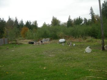 spartain13 profile photo