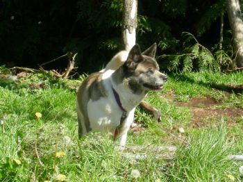 spartain13 profile photo