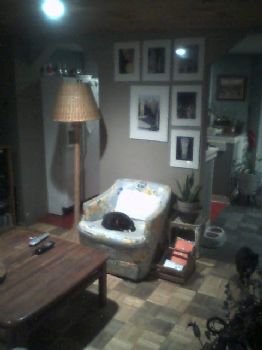 jennie6980 profile photo