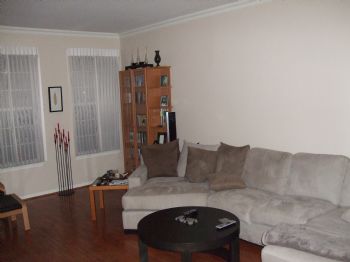 jdangelo0122 profile photo