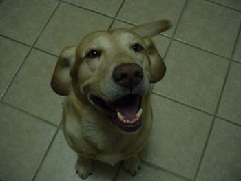 bruckert profile photo