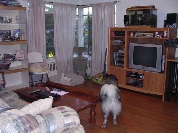 JD4264 profile photo