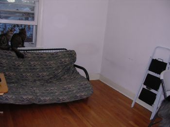 JD4264 profile photo