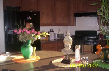 stasia14 profile photo