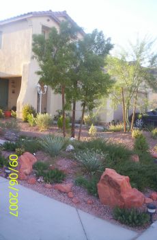 stasia14 profile photo