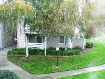 amyra147 profile photo