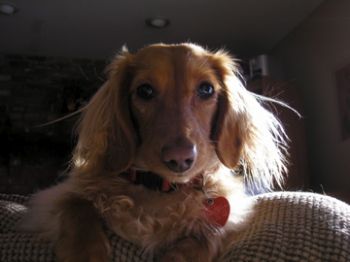 amy046 profile photo