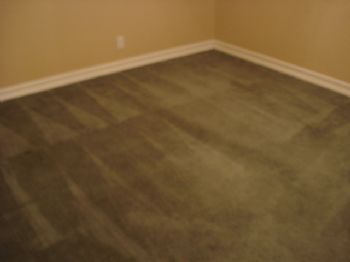 nancyf profile photo