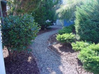 OCEANCRITTER profile photo