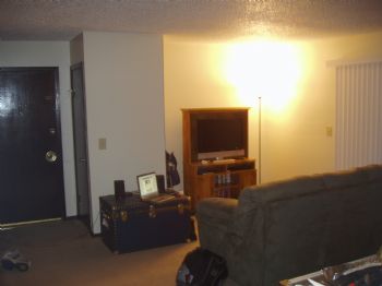 bassace663 profile photo