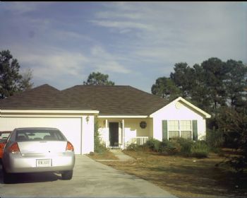 shell32 profile photo