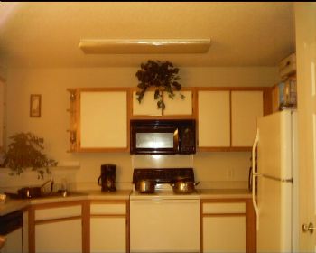 shell32 profile photo