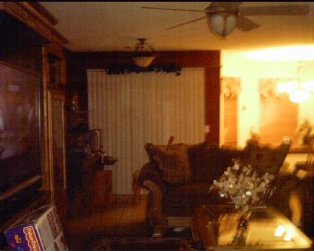 shell32 profile photo