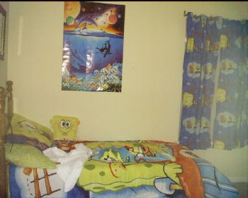 shell32 profile photo