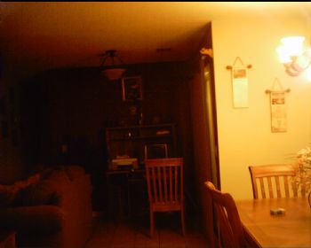 shell32 profile photo