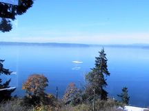 djshores profile photo