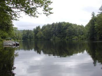 blooviper profile photo