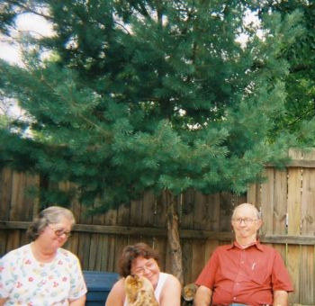 mardawsti profile photo