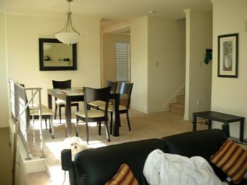 bellomo profile photo