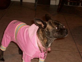 marisaamber profile photo