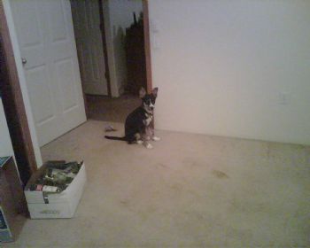 AshleyDustin profile photo