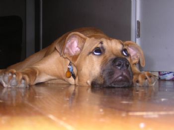 D_Klein profile photo