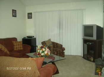 msliea profile photo