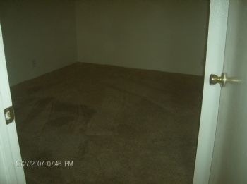 msliea profile photo