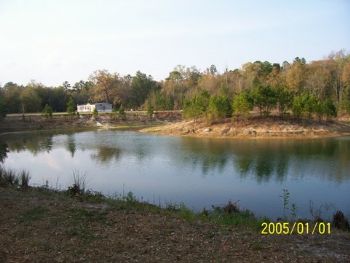 kayosdrion profile photo