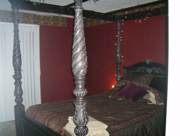 sailingseaha profile photo