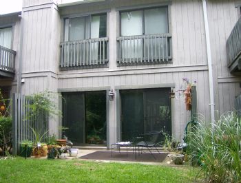 sailingseaha profile photo