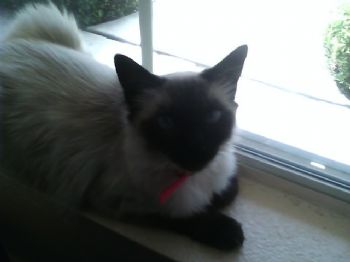 stacia profile photo