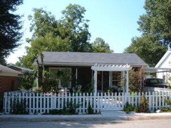 fairyslipper profile photo