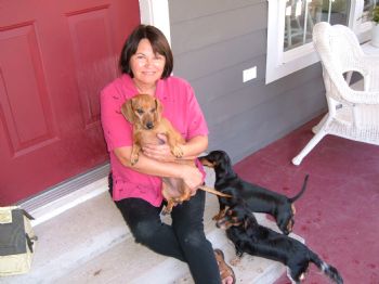 fairyslipper profile photo