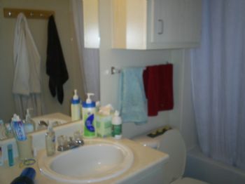 AleseaC profile photo