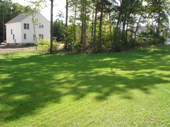 CTTANMAN profile photo