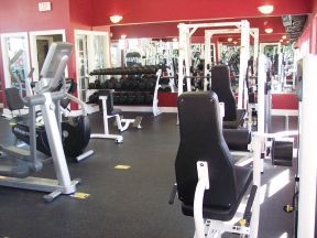 chmele88 profile photo