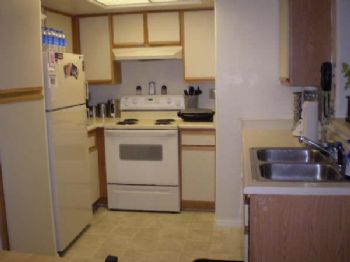 elretsvek profile photo