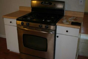 wellawella profile photo