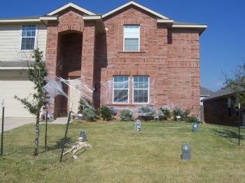 emtnut profile photo