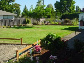 zenboy711 profile photo