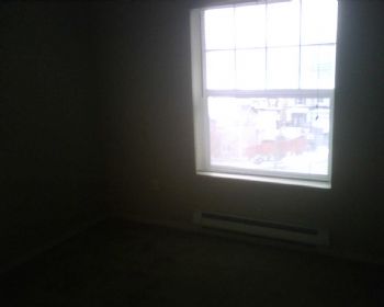 anapelenok profile photo