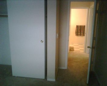 anapelenok profile photo