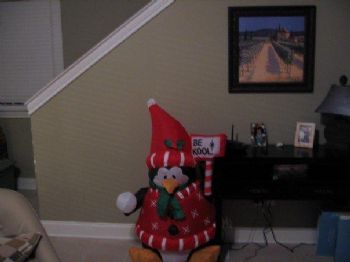 courtlsu03 profile photo