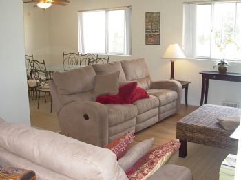 Chessieview profile photo