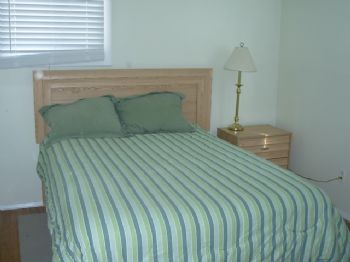 Chessieview profile photo